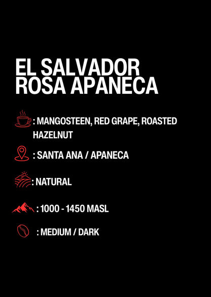 El Salvador - Rosa Apaneca